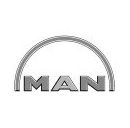 Man Van Truck Diesel Fuel Pumps